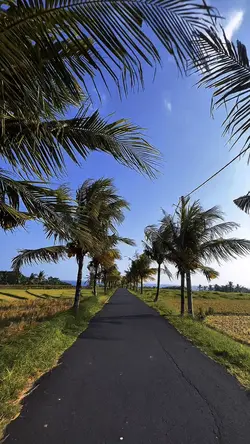 Estetik Vlog
