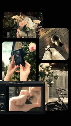 5 Frame aesthetic 