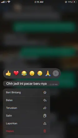 JJ SS CHAT KECE