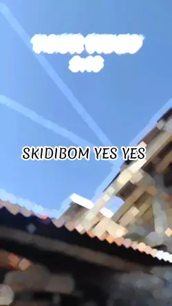 DJ SKIDIBOM YES YES