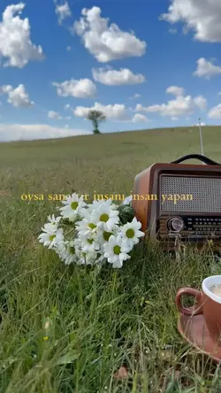 Sanattır..