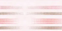 🎀♡