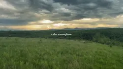 calm atmosphere