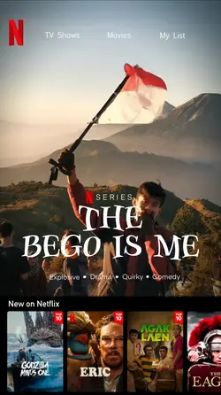 Dashboard Netflix