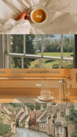 my day split screen