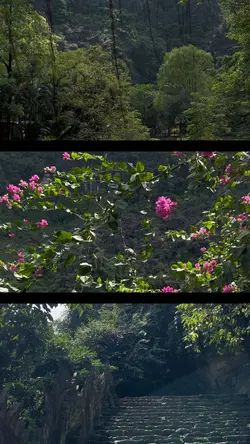 vietnam💗