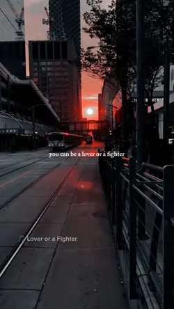 lover or a fighter
