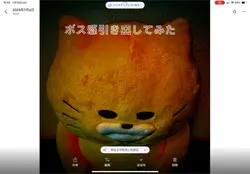 音楽つけてみました