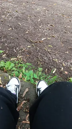 Ich kann nicht mehr.