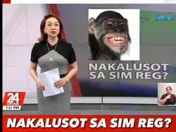 BALITA 