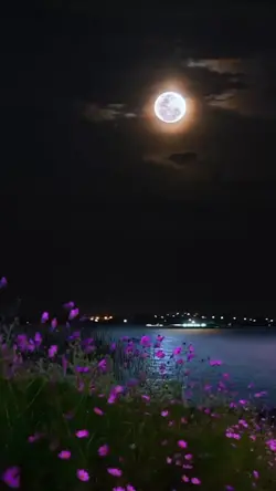 Langit Malam