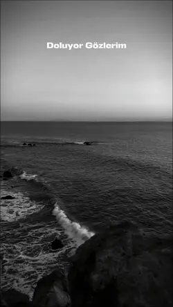 SENİ ÇOK ÖZLEDİM.