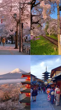 Japanese