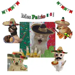 Mes Patrio! 🇲🇽🤍