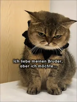 Ich liebe meinen Bru