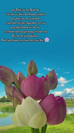Vu lan báo hiếu