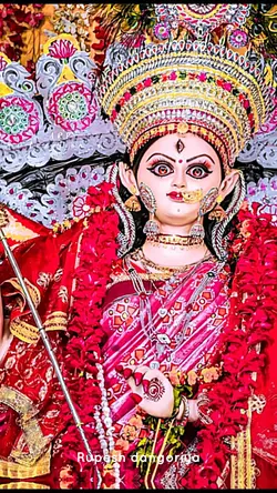 Jay mata de 