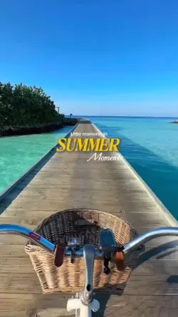 Summer Moments 