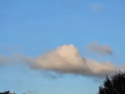 억울..
