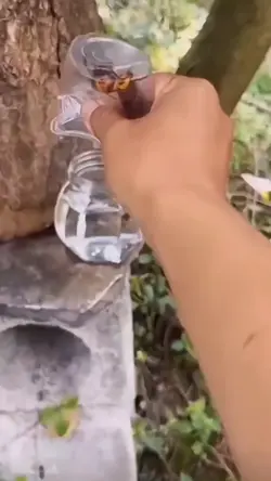 Watch out for the 🐝 