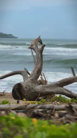 Cinematic kece 