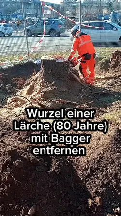 vlog Bauprojekt 