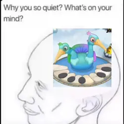 why are you so quiet