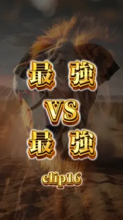 告知などに最強VS最強