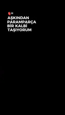 Yeni Şablon 