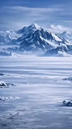 wallpaper