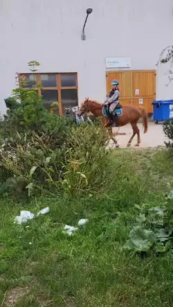Szablonik