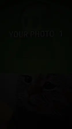 TRENDING EDIT NEW 