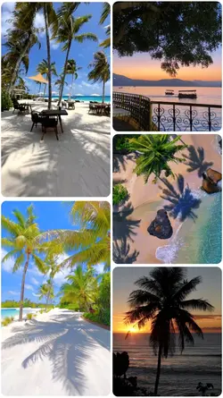 aesthetic 5 videos