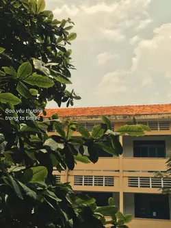 Tình thơ