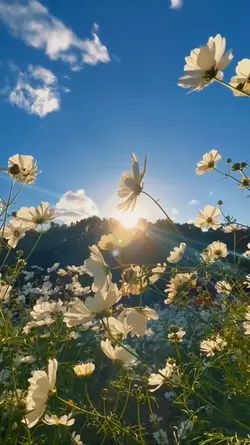 Spring Season