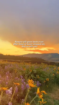 Flowers grow back