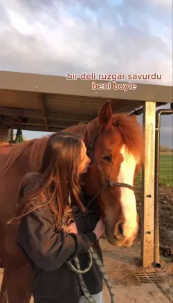 Bir deli rüzgar