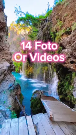 14 Video Slides