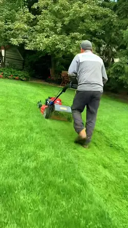 Gardening