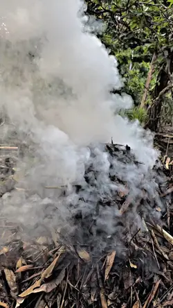 Slowmo 1 Video