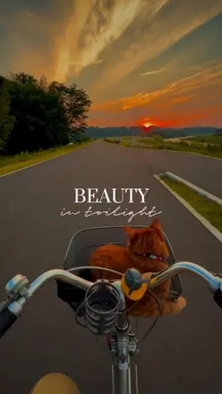 beauty in twilight