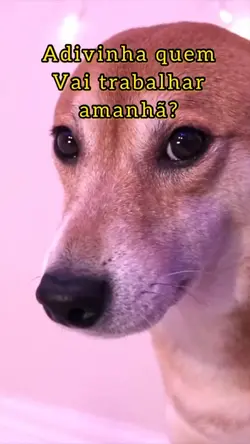 Jp