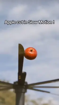 Meme