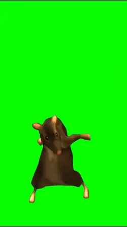 New green screen 