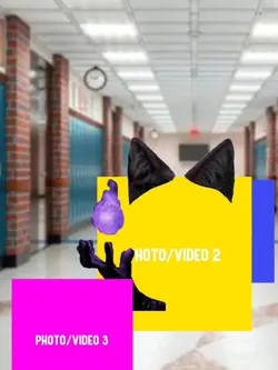 NEW EDIT ZONE