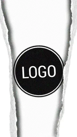 Logo intro