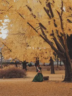 Moon Lovers