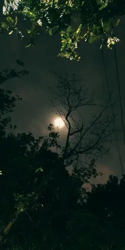 lyrics | moon