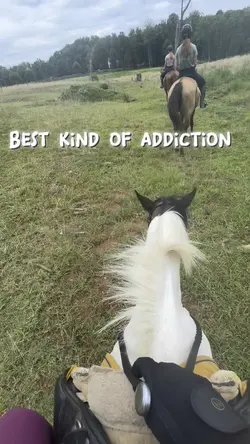 Horses