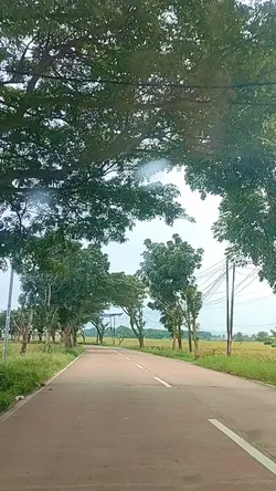 video perjalanan